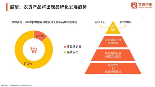 2021年中國農產品電商發(fā)展報告 信息咨詢視角